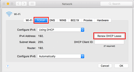 在 Mac 上续订 DHCP 租约选项