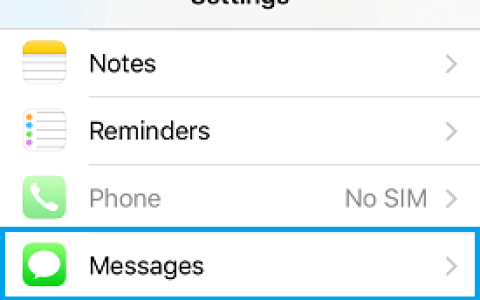 如何防止将iMessage作为SMS文本消息发送