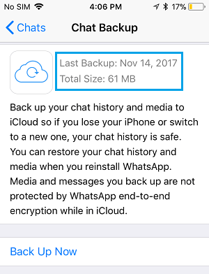 iPhone 上的 WhatsApp 最后备份信息