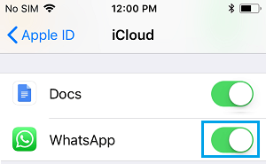 允许 WhatsApp 访问 iPhone 上的 iCloud