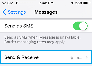 iPhone 上的 iMessage 发送和接收选项