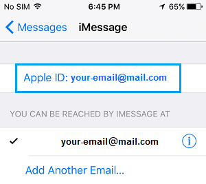 iPhone 上 iMessage 设置屏幕上的 Apple ID