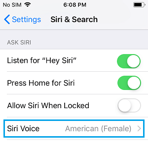 iPhone 上的 Siri 语音选项