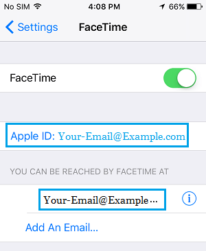 iPhone 上的 Apple ID 和 FaceTime 电子邮件地址