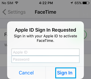 使用 Apple ID 登录以在 iPhone 上激活 FaceTime