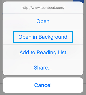 在 iPhone 上的 Safari 中打开后台选项