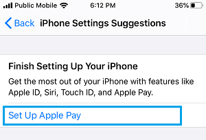 在 iPhone 上设置 Apple Pay 选项