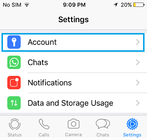 iPhone 上 WhatsApp 设置屏幕中的帐户选项