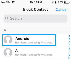 在 iPhone 上的 WhatsApp 中阻止联系人屏幕
