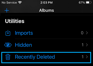 在 iPhone 上打开最近删除的照片文件夹
