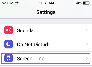 iPhone 上的屏幕时间选项