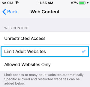 限制 iPhone 上的成人网站内容选项