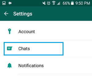 WhatsApp 设置屏幕上的聊天选项
