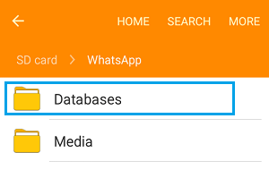 如何在Android手机上将WhatsApp备份到SD卡