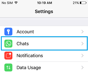 iPhone 上 WhatsApp 设置屏幕中的聊天选项