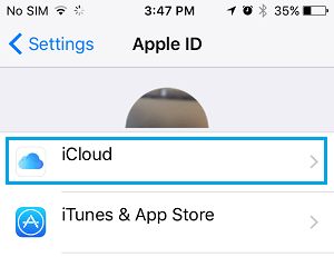 iPhone 设置屏幕上的 iCloud 选项卡
