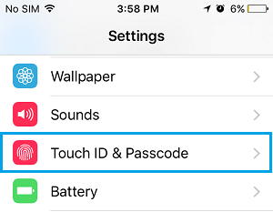 iPhone 设置屏幕上的 Touch ID 和密码选项卡