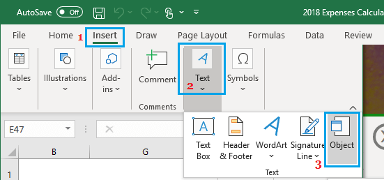 在 Excel 中插入文本对象选项