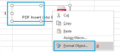 Excel 中的格式对象选项