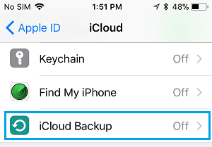 iPhone 上的 iCloud 备份选项