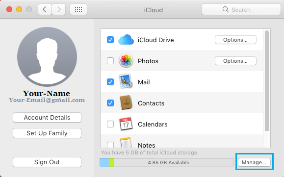 在 Mac 上管理 iCloud 存储选项