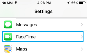 iPhone 上的 FaceTime 设置选项