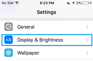iPhone 上的显示和亮度设置选项