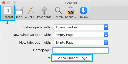 在 Mac 上的 Safari 浏览器中设置主页选项