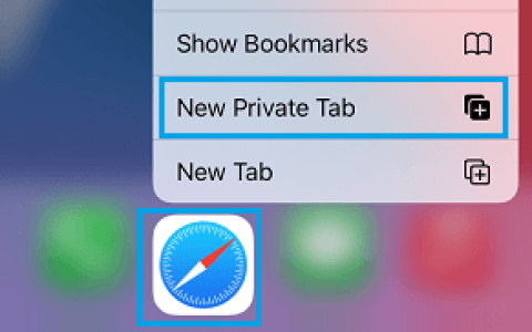 iPhone或iPad上缺少Safari私人浏览选项