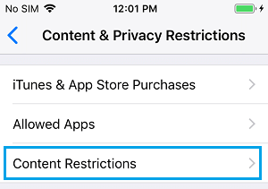 iPhone 上的内容限制设置选项