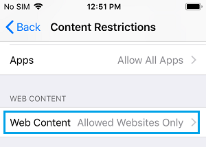 iPhone 上的 Web 内容限制设置选项