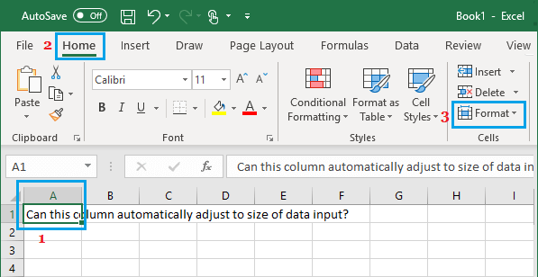 Excel 中的单元格格式选项