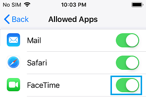 允许 iPhone 上的 FaceTime 应用程序