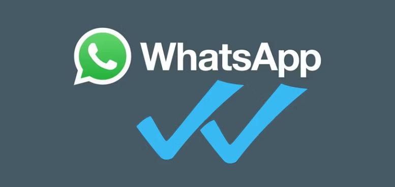 WhatsApp：解释了一个和两个复选标记之间的区别