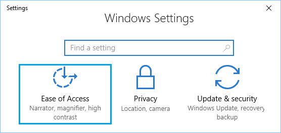 Windows 10 中的轻松访问设置选项
