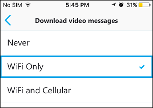 iPhone 上的 Skype 视频下载选项
