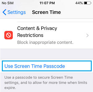 在 iPhone 上使用屏幕时间密码选项