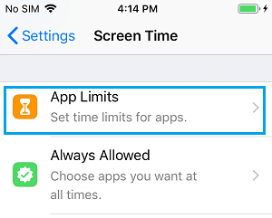 iPhone 上的应用程序限制选项