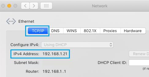 Mac 上 TCP/IP 屏幕上的 IP 地址