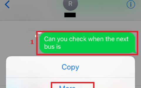 如何在iPhone上转发消息（苹果手机转发至另一台设备）
