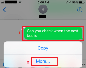 iPhone 上 iMessage 中的更多选项