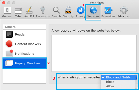 在 Mac 上的 Safari 浏览器中允许或阻止网站弹出窗口