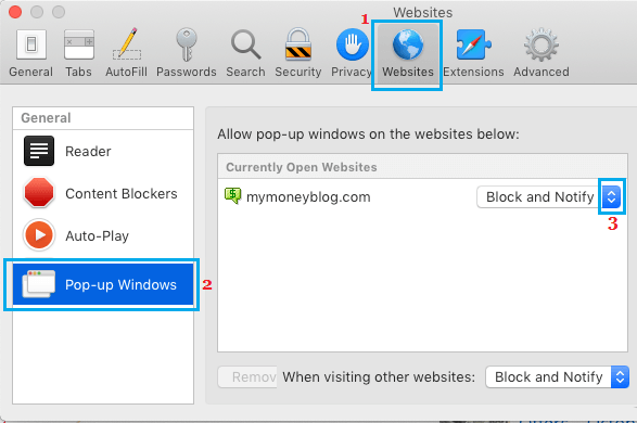 允许或阻止 Mac 上单个网站的 Safari 浏览器中的弹出窗口