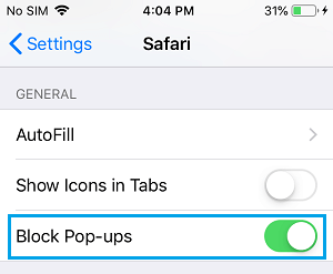 在 iPhone 上的 Safari 浏览器中阻止弹出窗口