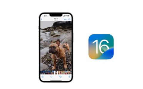 如何从装有iOS16的iPhone上的图像中删除背景