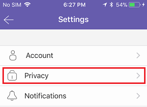 iPhone 上的 Viber 隐私选项卡