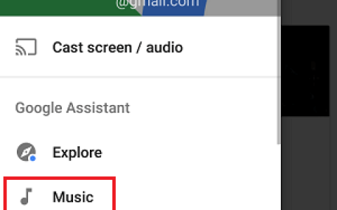 如何更改Google Home上的默认音乐播放器