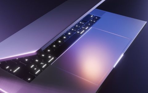 如何禁用Windows11任务栏上的闪烁应用程序