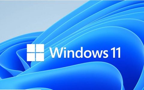 如何在Windows11上更改帐户类型