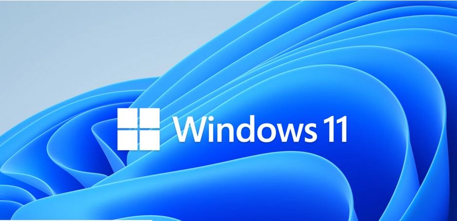 如何在Windows11上更改帐户类型